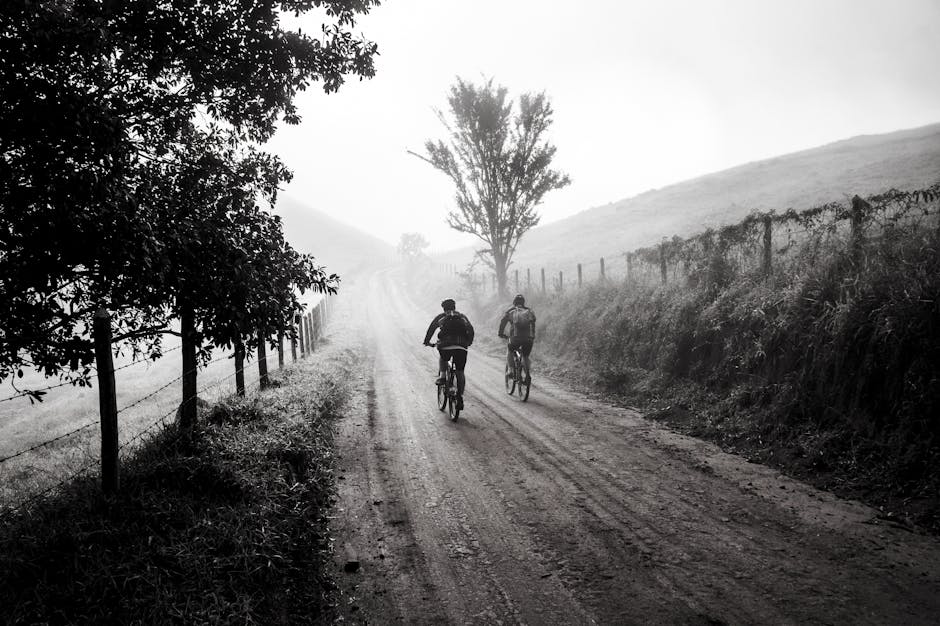 Epic Mountain Bike Rides You Can't Miss