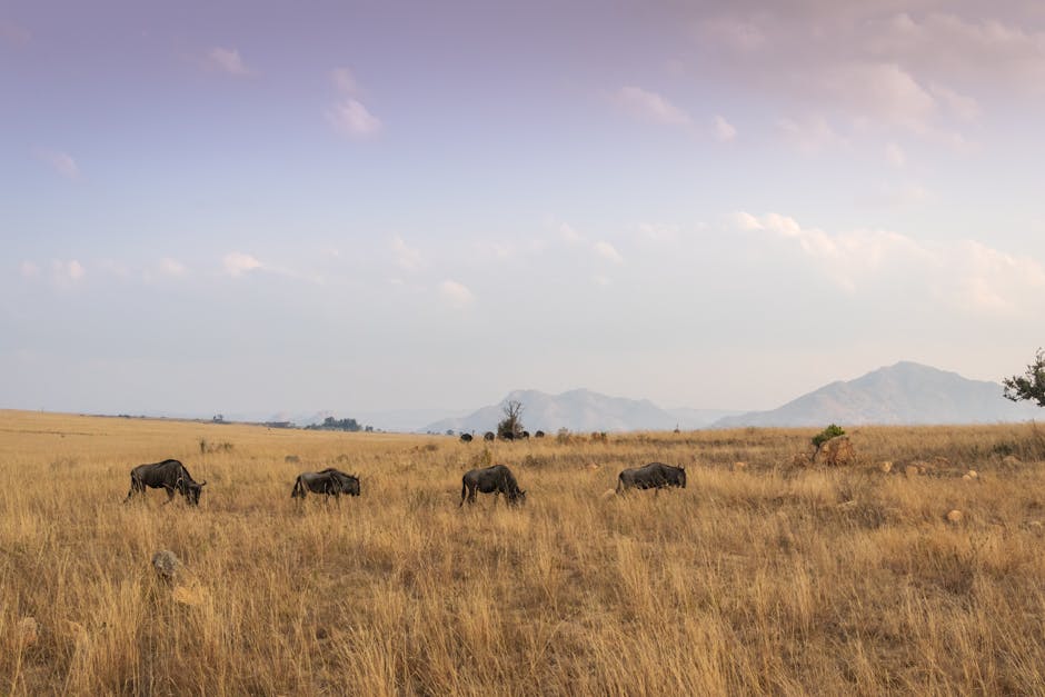 Wildlife Encounters: From Mountains to Plains