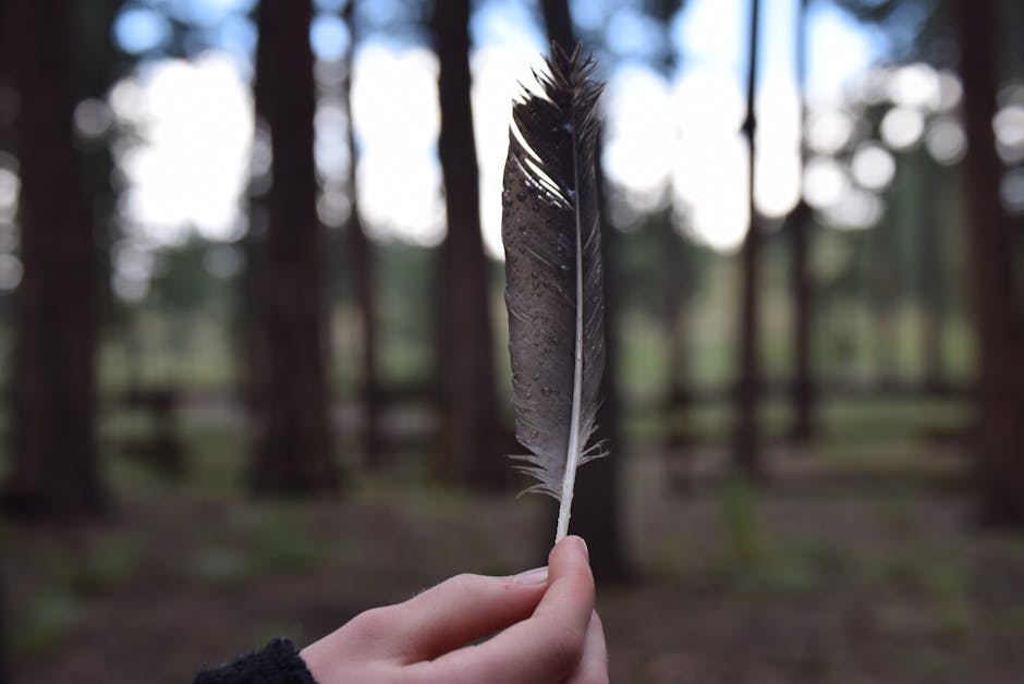 Wildlife Watching: A Colorado Adventure Guide
