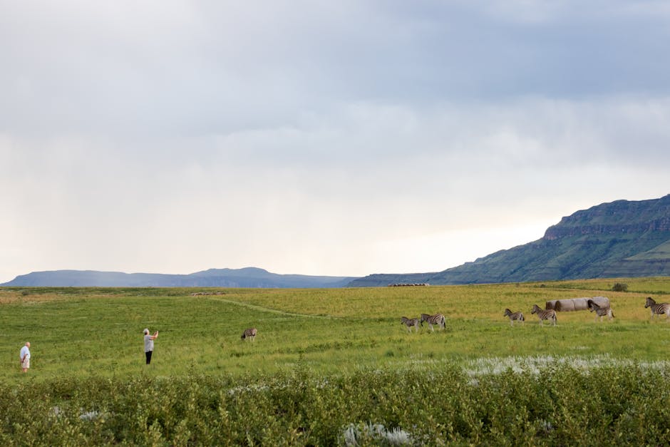 Wildlife Encounters: From Mountains to Plains