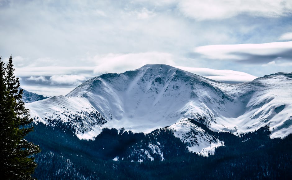Wildlife Watching: A Colorado Adventure Guide