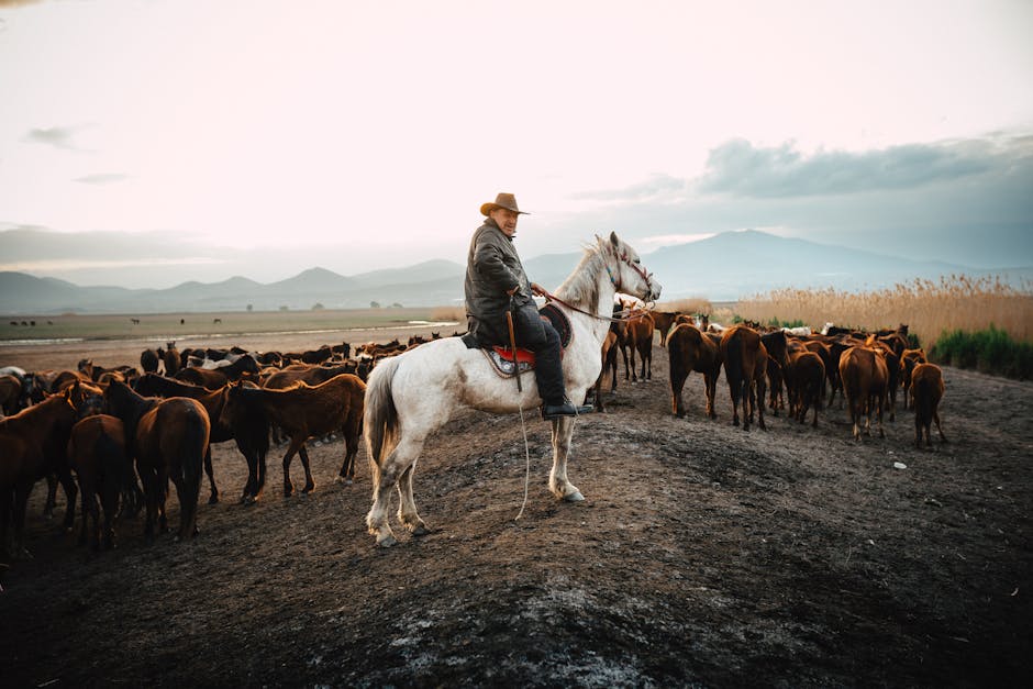 Wildlife Encounters: From Mountains to Plains