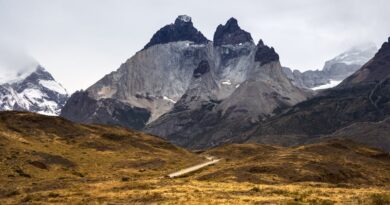 Epic Mountain Bike Rides You Can't Miss