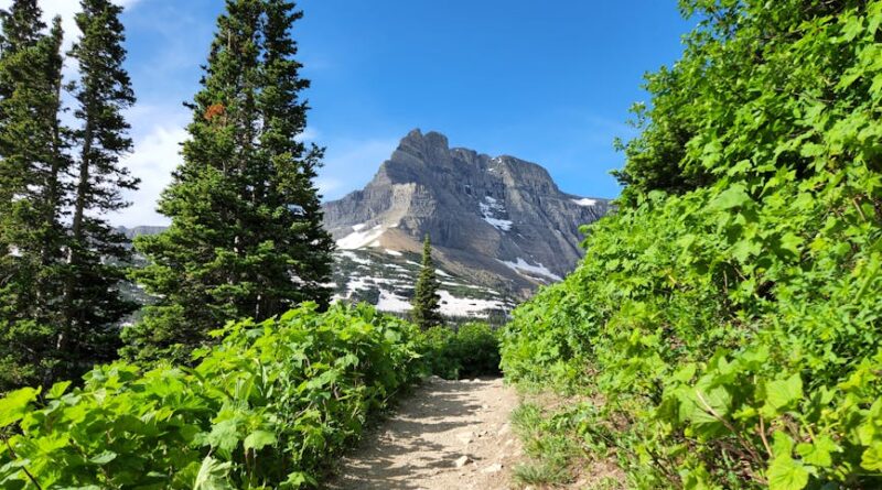 Hiking for Health: Benefits of Mountain Trails