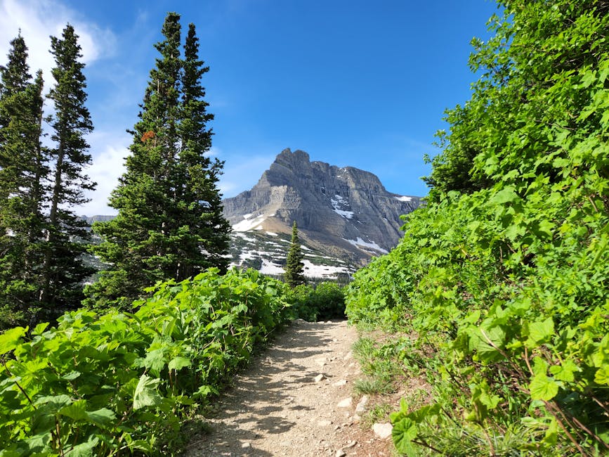 Hiking for Health: Benefits of Mountain Trails