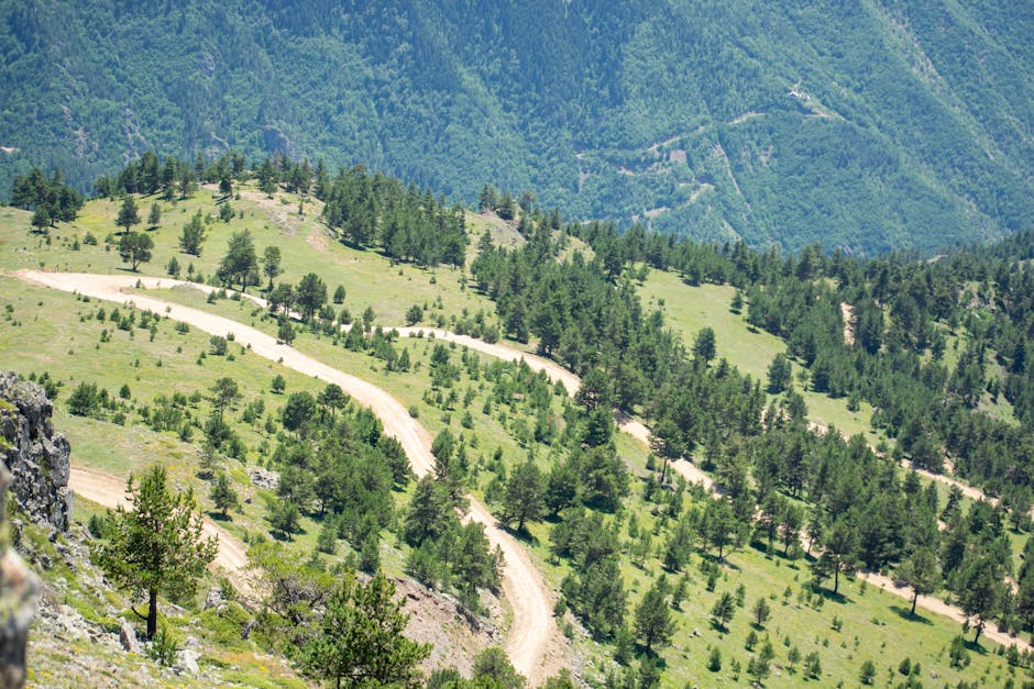 Hiking for Health: Benefits of Mountain Trails