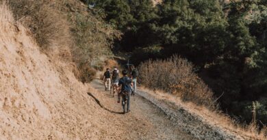 Hiking in Colorado: What You Need to Know