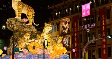 Art on Display: Colorado's Outdoor Installations