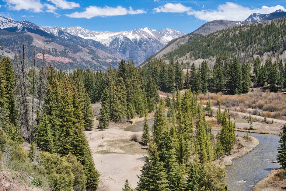 The Best Colorado Parks for Wildlife Viewing
