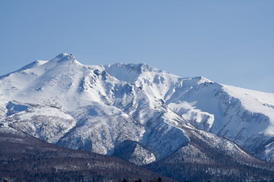 Wildlife Encounters: From Plains to Peaks