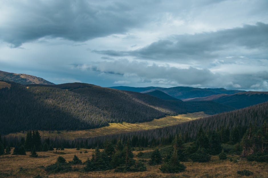 The Best Colorado Parks for Wildlife Viewing