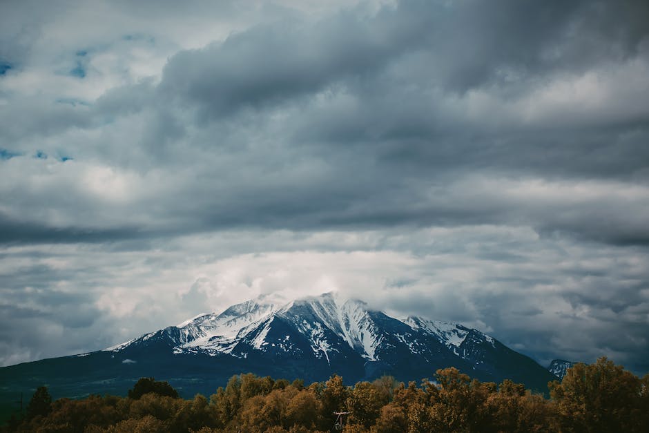 Wildlife Encounters: Adventure Awaits in Colorado