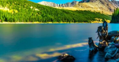 Wildlife Encounters: Adventure Awaits in Colorado