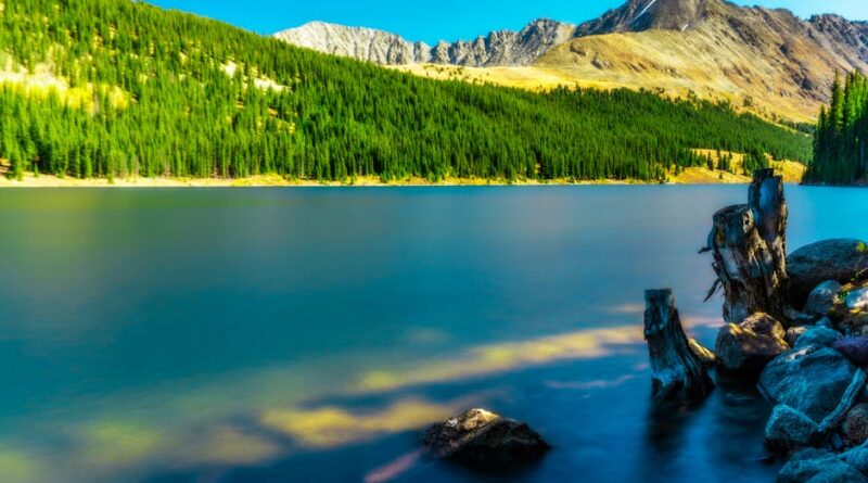 Wildlife Encounters: Adventure Awaits in Colorado