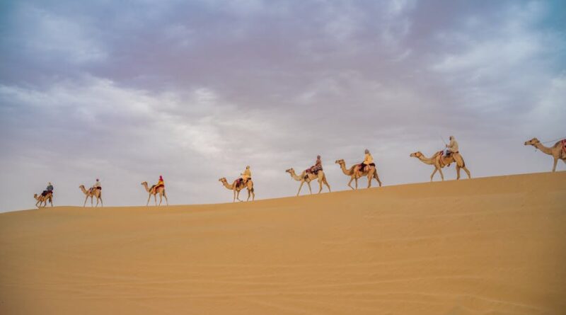 Unforgettable Wildlife Experiences in Colorado