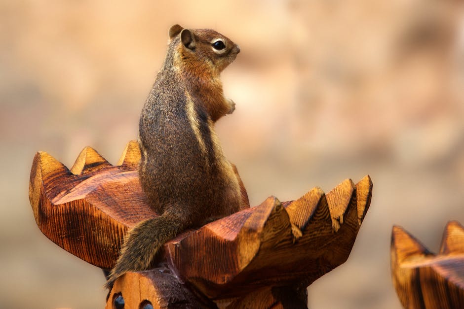 The Best Colorado Parks for Wildlife Viewing
