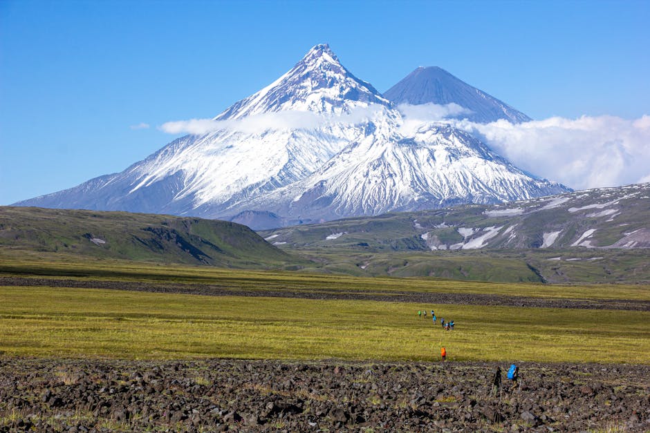 Wildlife Encounters: From Plains to Peaks